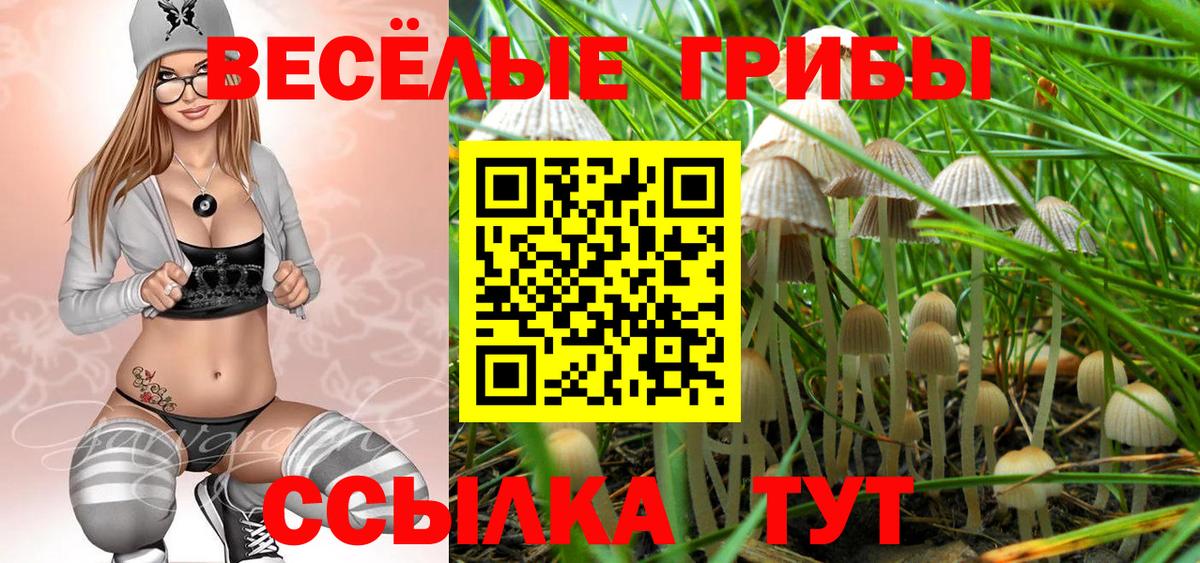 Галлюциногенные грибы ЛСД  Псилоцибиновые грибы мухоморы  Ленинск-Кузнецкий  Вход с VPN 
